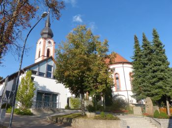 Tocht Te voet Bernhardswald - O 18 Bernhardswald - Altenthann (Rotes Dreieck) - Photo