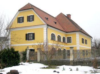 Tour Zu Fuß Gamlitz - Grubtaler Weg - Photo