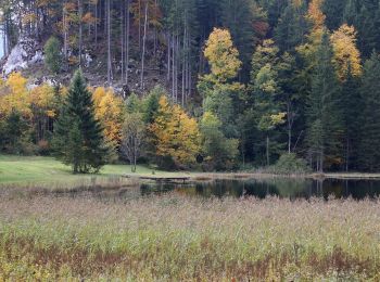 Tour Zu Fuß Oberaudorf - Wanderweg 5d - Oberaudorf - Photo