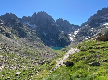 Tocht Stappen Belvédère - Cime Niré - Photo