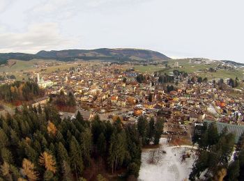 Trail On foot Asiago - Sentiero della Pace nell'Altopiano dei Sette Comuni - Photo