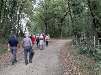 Trail Walking Moulins-sur-Tardoire - La rando de Vilhoneur côté Nord - Photo