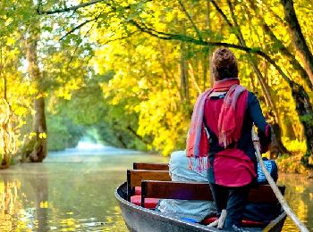 Tocht Stappen Le Mazeau - Mazeau_Marais_Sauvage - Photo