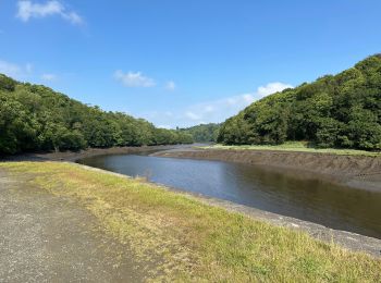 Randonnée Marche Lannion - Lannion-Locquemeau - 23,7 km - Photo