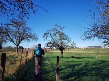 Trail Walking Villers-la-Ville - Balade à Sart-Dames-Avelines - Photo