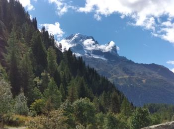 Trail Walking Chamonix-Mont-Blanc - TMB8 CAF 24 - Photo