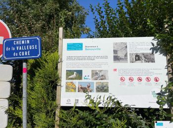 Percorso Bici da strada Saint-Valery-en-Caux - Sainte Marie La Flotte retour - Photo