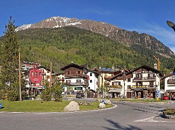 Randonnée A pied Courmayeur - Alta Via n. 2 della Valle d'Aosta - Tappa 1 - Photo
