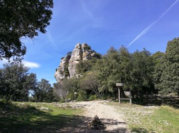 Randonnée Marche Arboras - Arboras-Le Rocher des Vierges - Photo