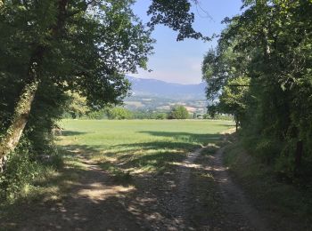 Tour Wandern La Biolle - La Biolle  - Photo