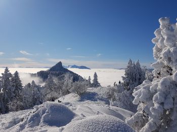 Randonnée Raquettes à neige Sarcenas - Le  Mont Fromage et ses crêtes - Photo