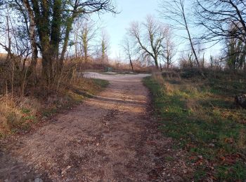 Trail Walking Tallenay - D B 01 01 23 - Photo
