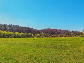 Tocht Te voet Blieskastel - Am Alten Berg - Photo