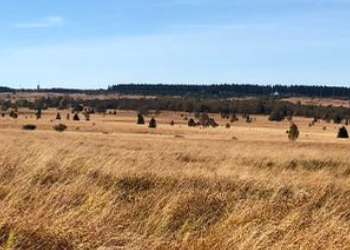 Excursión Senderismo Waimes - Walk Peak Beer myrtille avec extension (new) - Photo