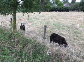 Tour Wandern Gent - Drongen Gand 25 km - Photo