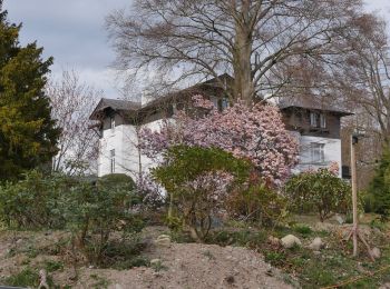 Tocht Te voet Reinbek - Walderlebnispfad Staatsforst Trittau - Photo