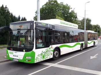 Percorso A piedi Sáta - Kohászok útja Sáta-Miskolc - Photo