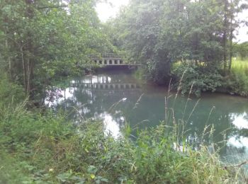 Randonnée Marche Auxi-le-Château - auxi bord authie - Photo