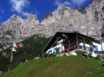 Trail On foot Belluno - IT-501 - Photo