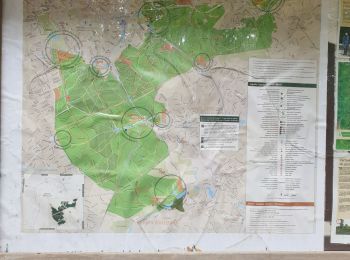 Randonnée Marche Uccle - 2020-07-09 - Banc d'essai pour enregistrer un circuit dans la forêt de Soignes sur EasyJet Trail  20 jm - Photo