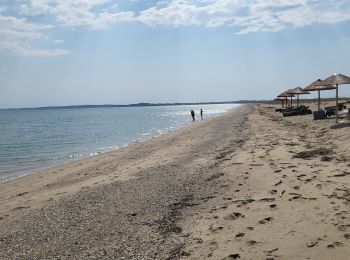 Tour Wandern  - boucle nea-moudania, Grèce  - Photo