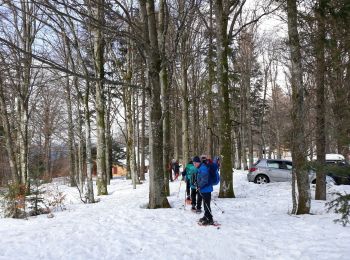 Trail Snowshoes Lepuix - Ballon d'Alsace - Photo