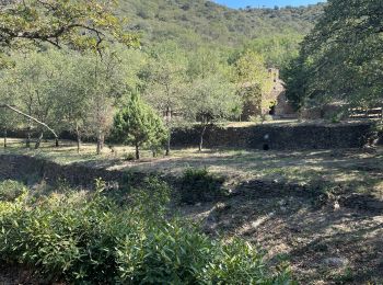 Randonnée Marche Corbère-les-Cabanes - Corsète les cabanes - Photo