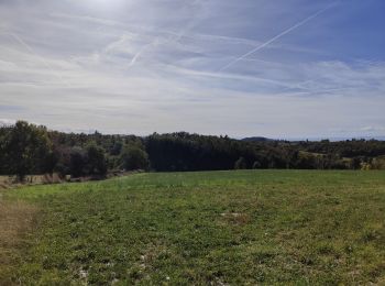 Tour Wandern Montchal - randonnée de Montchal - Photo