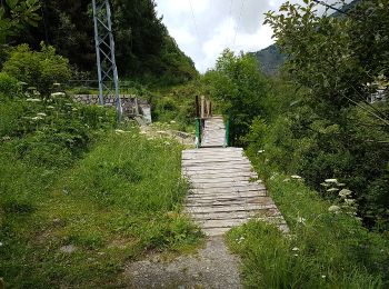 Trail Walking  - 11133234-chemin du coq_jul-2017_openrunner - Photo