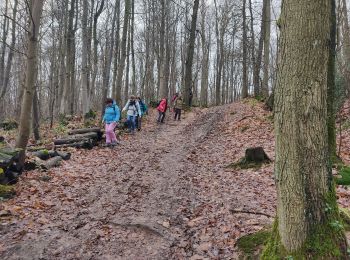 Trail Walking Gif-sur-Yvette - Sur les hauteurs de la Mérantaise - Photo