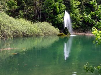 Tour Wandern Saint-Cassin - Saint-Cassin-2021-05-11 - Photo