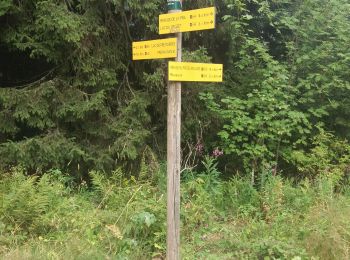 Trail Walking Revel - Montagne 15/08/2023 - Photo