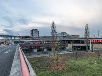 Tour Zu Fuß  - (Grüner Punkt) - Photo