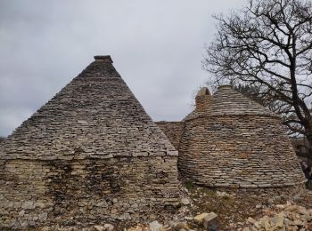 Tocht Stappen Gabillou - boucle des murs en pierres sèches  - Photo