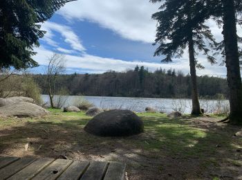 Tocht Stappen Le Bez - Bois de Merle - Photo