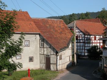 Percorso A piedi Ilmenau - Rund um Heyda - Photo