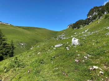 Randonnée Marche Saint-Pierre-d'Entremont - La Croix de l’Alpe 10,7 km - Photo