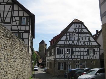 Tour Zu Fuß Bietigheim-Bissingen - Rundwanderweg 1 - Photo