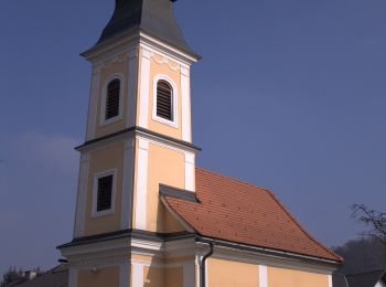 Tour Zu Fuß Sankt Johann in der Haide - Maierhofermühle Weg MM - Photo