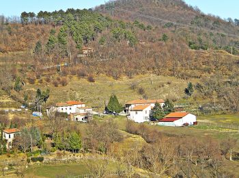 Randonnée A pied Cantagallo - Sentiero CAI 38 - Sez. Prato - Photo