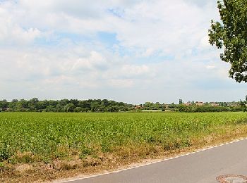 Percorso A piedi Dahme - Dahmer Gehege-Tour - Photo