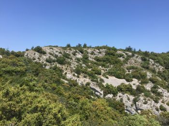 Trail Walking Puget - PF-Puget - Les Borrys-Rochers des 11 Heures-Croix de Fer-Combe de l'Euse - Photo