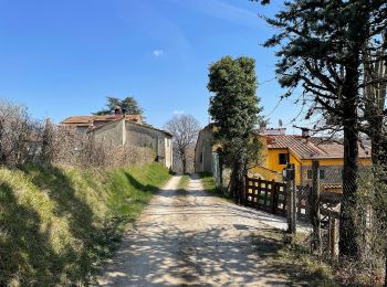 Randonnée A pied Vernio - Sorgenti di Firenze Trekking - Anello 10: Dalla Calvana all'Appennino - Photo