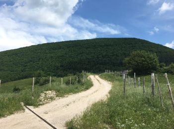 Trail On foot Acqualagna - IT-450 - Photo