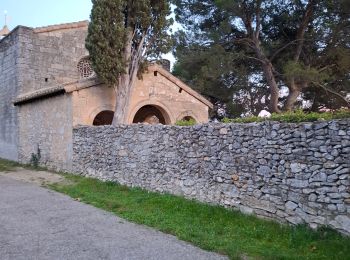 Percorso Marcia Cavaillon - Colline st - Photo