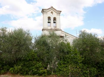 Randonnée A pied San Casciano in Val di Pesa - IT-SC2 - Photo