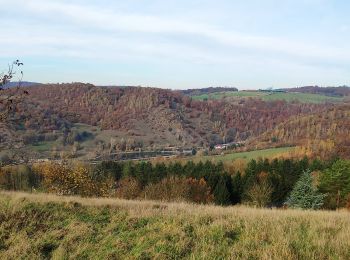 Tour Mountainbike Fléron - Randonnée des feuilles mortes - Photo