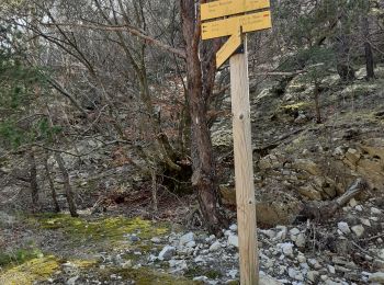 Trail Walking Vesc - bec de jus - Photo