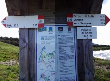 Excursión A pie Selva di Progno - Dorsale Alta della Lessinia tratto Giazza - Parparo di Sopra - Photo
