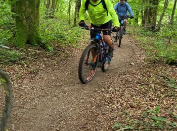 Randonnée Vélo électrique Mertzen - sortie vtt des 80 ans 29052024 - Photo